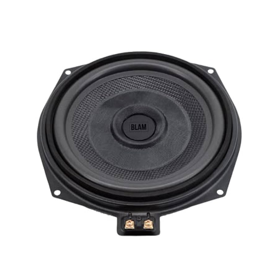 BMW BLAM BM 200 XF サブウーファ 国内正規品】 BLAM/ブラム RELAX (BMW専用) 200mm サブ
