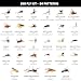 Premium Fly Fishing Kits – 64, 152 & 268 Count Fly Sets with Boxes – Essential Fly Fishing Accessories & Gear – Flies for Trout Bass Panfish & Freshwater – All-Water Fly Assortment (268)