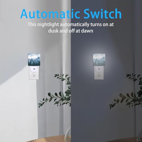 Image of Misty Forest Night Light,Nature Landscape Night Lights Plug into Wall for Boys Girls, Led Lamp for Stairway /Hallway /Bedroom 0.5W Nightlight Sleep Friendly