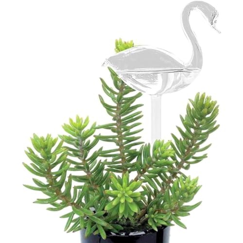 2 Pack Plant Watering Globes, Cute Swan Shape Clear Glasses Self Watering Bulbs Tool for Vacation, Auto-Watering Drippers System for Indoor Outdoor Plants
