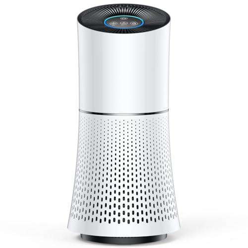 空気清浄機 HEPAフィルター 【360°強力浄化・脱臭・除菌】 小型空気清浄機...