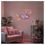 Zoom IMG-1 xenite luci al neon da Zoom IMG-1 xenite luci al neon da