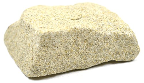 EISCO Sandstone Specimen (Sedimentary Rock), Approx. 1