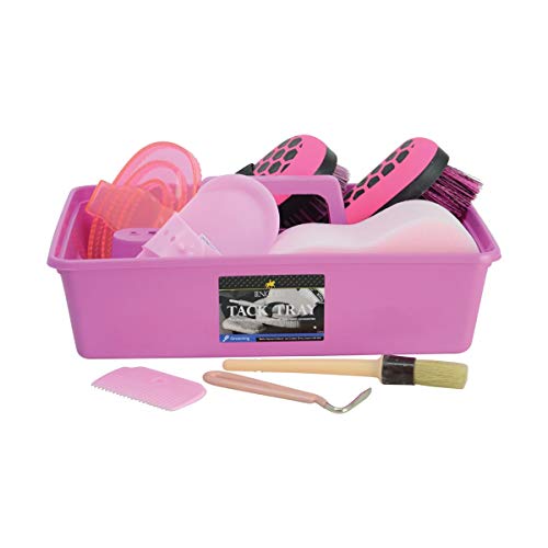 Lincoln Complete Grooming Kit (One Size) (Pink)