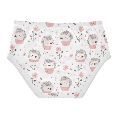 Girls Underwear Soft Cotton Hedgehog Kids Panties in Sizes 2/3t, 4t, 5t, 6 and 82