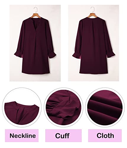 Image of Wkior Womens Fall Ruffle Long Sleeve V Neck Shift Dresses (S-XXL)