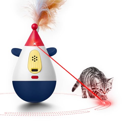Duepay Laser Cat Toys