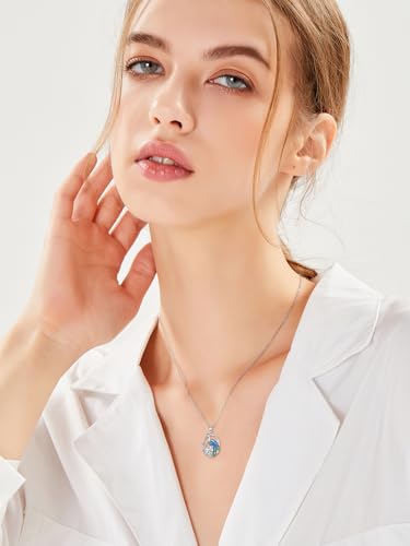 Midari Bird Necklaces for Women 925 Sterling Silver Blue Jay/Hummingbird/Owl/Peacock/Cardinal Pendant Necklace Oval Cubic Zirconia Necklace Bird Jewelry Charm Memorial Christmas Gifts for Women Mom2