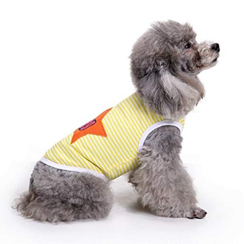 AMURAO Estate Pet Dog Shirt Cani di Piccola Taglia...