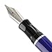 Nemosine Singularity Blueberry Fountain Pen - German Fine Nib