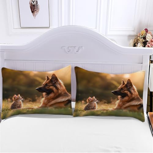 Linge de lit double 200x200 cm en microfibre douce et résistante