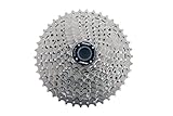 1 araña de aluminio MSC Bikes CS1MSC101142 Cassette, Gris, 10V 11-42