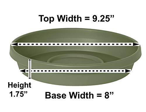 Terratray Liv Green 10" #TOP1