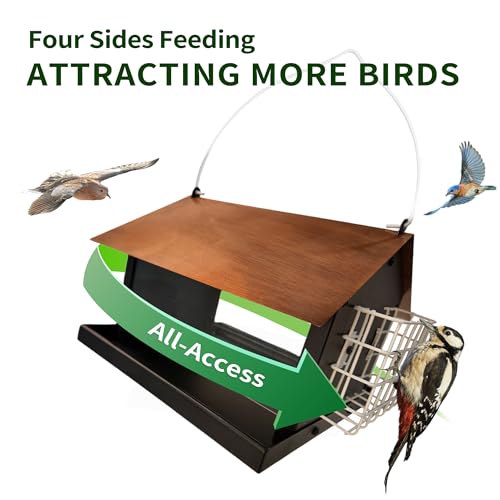 Solution4Patio Bird Feeders for Outdoors Hanging, All Metal, Double Suet Cake and Large Capacity, Hopper Tray & Weatherproof for Finch, Cardinal & Chickadee (Brown) by Solution4Patio Expert in Garden Creation - Used condition - Image 2