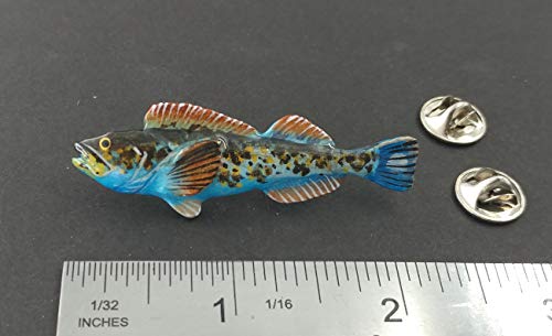 Blue Lingcod Fish Pin, Hand Painted, SP065B, 2”, Ling Cod, Buffalo Cod, Cultus Cod, Blue Lingcod, Ling, Lapel, Hat, Pins, Brooch, Jewelry, Gift, 100% Handmade in the USA, Over 200 Fish Designs Available.2