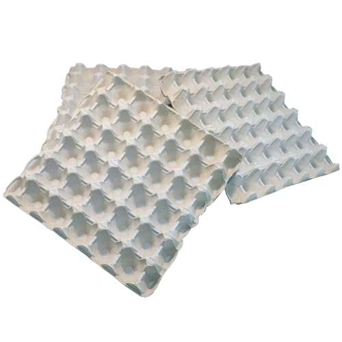 HOME CENTRE Egg Boxes Trays 10 Pieces Box Holds 30 Eggs Recyclable Biodegradable Cardboard Plain
