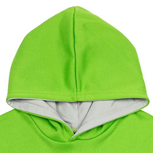Image of Sesame Street Fleece Pullover Hoodie for Baby & Kids