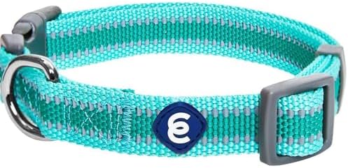Blueberry Pet Essentials Matching Large Dog Collar | Adjustable C...