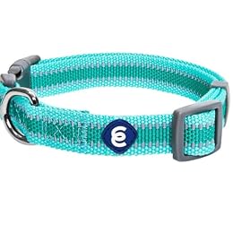 Blueberry Pet Essentials Matching Small Dog Collar | Adjustable Classic Solid Color Nylon Dog Collars for Small Dogs | Reflective Minty Green Dog Collar for Small Dogs