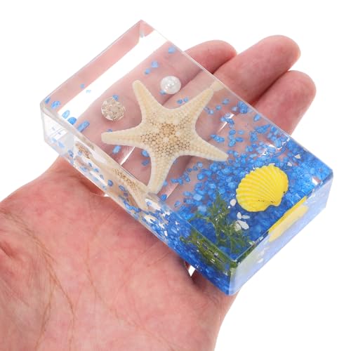 Espécimen educativo de estrella de mar para decoración científica escolar 3