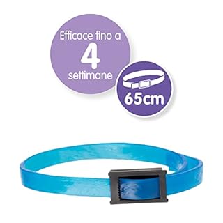 Beaphar No stress, collare calmante alla Valeriana per cani, riduce lo stress e i problemi comportamentali, 1 collare 65 cm Grigio