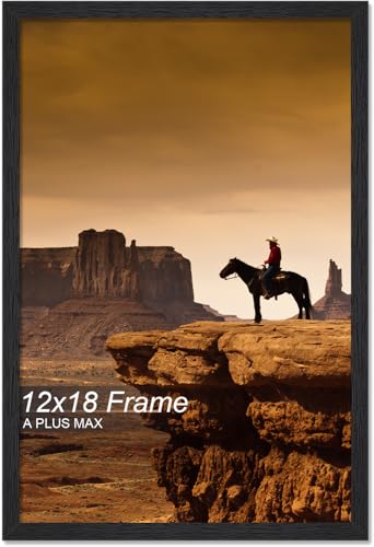 A PLUS MAX 12x18 Picture Frame Black Light Weight Wall Mount
