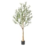 Nafresh Tall Faux Olive Tree，5Ft(60in) Realistic Texture Potted Silk Artificial Olive Tree， Fake...