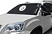 FrostGuard NFL Premium Winter Windshield Cover for Snow, Frost and Ice - Cold Weather Protection for Your Vehicle – Pittsburgh Steelers, Standard Size