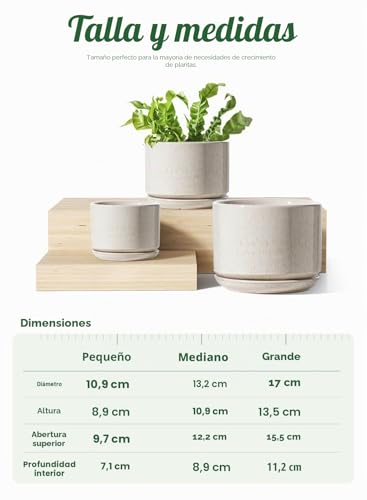 Miniatura 5 de Le Tauci Macetas De Cerámica, 11 13 17 Cm, Juego De 3 Macetas Con Agujero De Drenaje Y Platillo, Maceta De Interior Con Almohadilla De Malla Con Agujero, Regalos Para Mamá, Esmaltado En Blanco