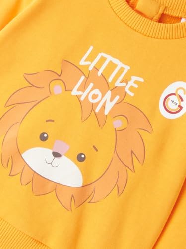 Galatasaray Bebek Sweatshirt B251008 - Görsel 3