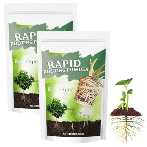 Activateur de racines, 2X100 g, poudre d'enracinement rapide, tonifie et renforce la croissance des plantes et des racines, poudre d'enracinement pour boutures – Intérieur et extérieur, stimulateur de