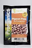 100 Organic Gandules, Pigeon Peas Seeds by Prorganics