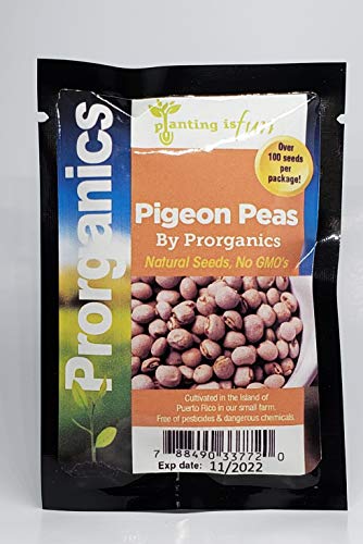 100 Organic Gandules, Pigeon Peas Seeds by Prorganics 100 Organic Gandules, Pigeon Peas Seeds by Prorganics