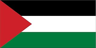 Cobb Promo 3x5 Feet 276 International Global World Country Flags (Palestine)