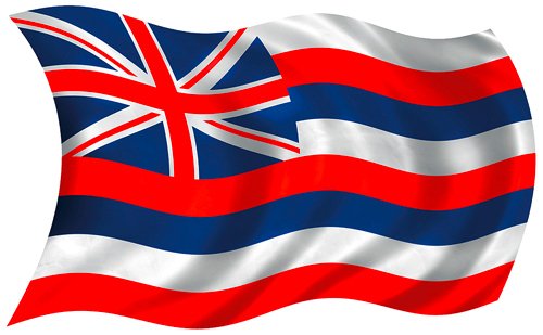 Hawaiian Flag - Hawaiian Art Decal - Car Window Bumper Sticker