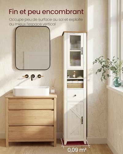 Colonne SDB style campagne 171 cm porte grange VASAGLE