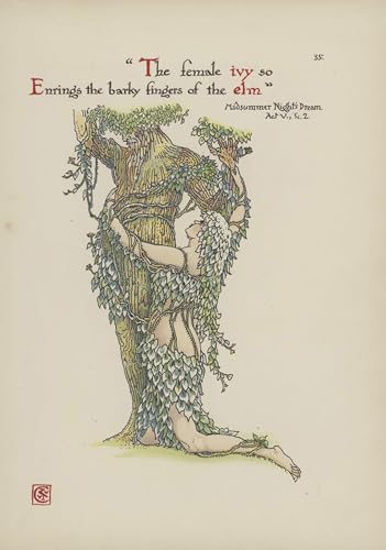 Poster fleurs du jardin de Shakespeare par Walter Crane, grand format moderne 60x90cm