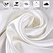 Ravmix 100% Silk Pillow Cases with Zipper, 21 Momme Mulberry Silk Pillowcase for Hair Skin Health, Soft Smooth Breathable Cool Pillow Cover for Beauty Sleep(Standard 20