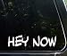 Hey Now (9" x 2") Funny Die Cut Decal Bumper Sticker For Windows, Trucks, Cars, Laptops, Etc.
