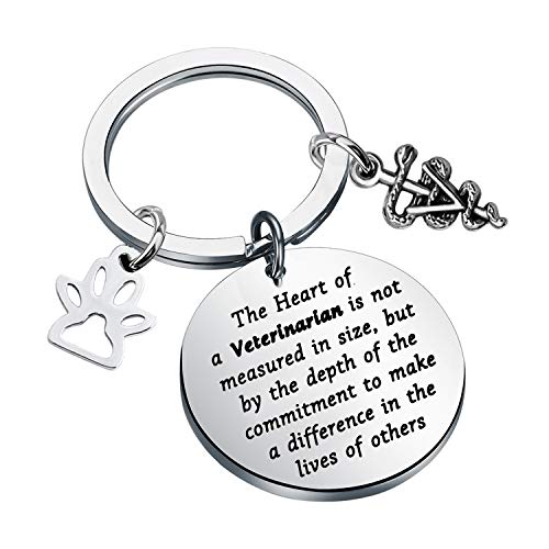 LQRI Veterinary Key Chain Veterinarian Gift Vet Tech Appreciation Gift The Heart of a Veterinarian is Not Measured in Size Thank You Gift for Veterinary Technician Pet Sitter (Sliver)