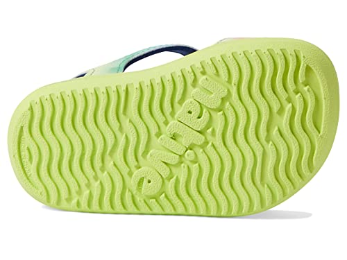 Native Shoes Kids Charley Sugarlite Print Flat Sandals For Little Kid - Hook-Loop Closure With Eva Footbed, And Eye-Catching Design Celery Green/Celery Green/Rainbow Tie-Dye 12 Little Kid M #TOP2