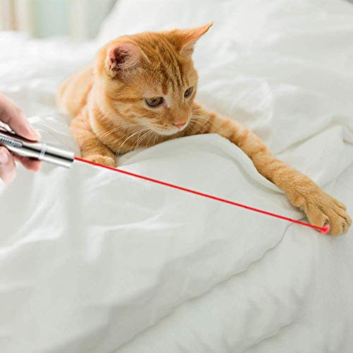 XURLEQ Cat Toys for Indoor Cats, Funny Cat Laser Pointer, Pet Toys for Kitten Indoor Playing with USB Charging Cable (1 PCS)