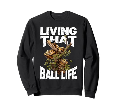�{�[���p�C�\�� �T���O���X���D�� ঒��� �w�r Ball Python Snake Owner �g���[�i�[