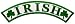 Irish Rocker Embroidered Patch Lucky Clover Shamrock Iron-On Ireland Biker Emblem