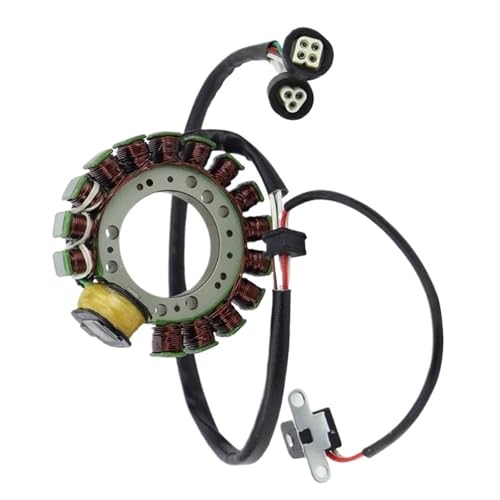 Bobine de stator de magneto pour restaurer votre quad Warrior YFM350