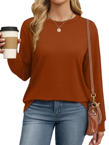 WIHOLL Womens Long Sleeve Shirts Loose Fits Fall Outfits Basic Casual Tunic Tops Crewneck Clothes2