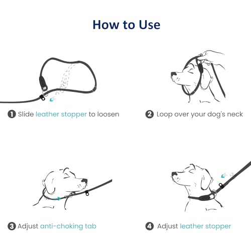 WePet Leash Features Close-up