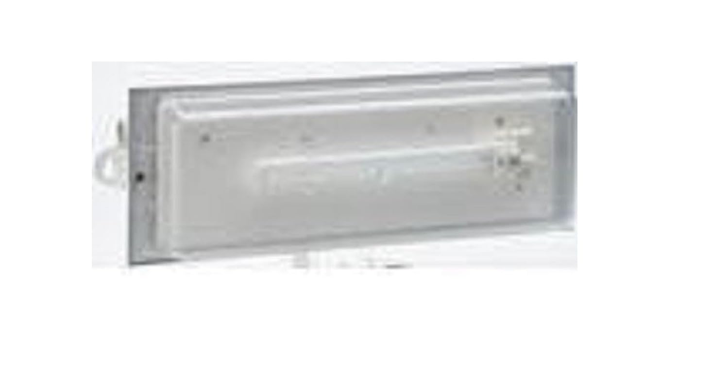 NT65-240LUM 1H luminaria de emergencia IP65 permanente para escaleras