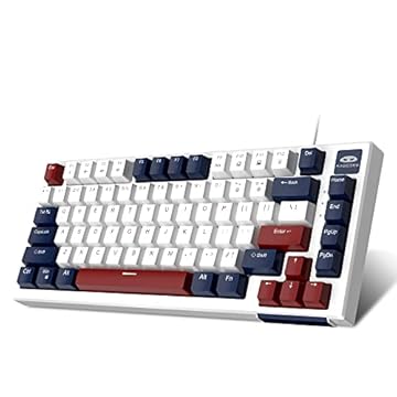 DANSHER Teclado mecânico para jogos com 60% de 60%, teclado mecânico com fio de 81 teclas, retroiluminado por LED, teclado compacto de escritório com interruptor azul para Windows, laptop, PC, Mac