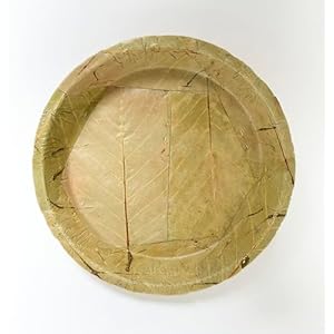 Single Use Sal Leaf Plates (11 inch, 25/pack) | Zero Waste, Biodegradable, Backyard Compostable | For Parties, Picnics, BBQ’s, Weddings, Outdoor Festivals, 11inch Plates